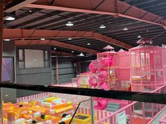-空匠蹦床公园·团建·亲子