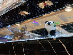 -红辣椒·川菜·火锅(张杨路店)