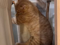 -树洞咖啡(科大店)