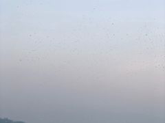 -横琴湾水世界