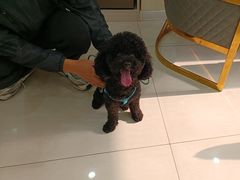 -天宠宠物医院24小时·急重症诊疗中心·全科·腔镜特色(和平分院)