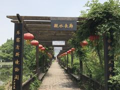 -东山香樟园