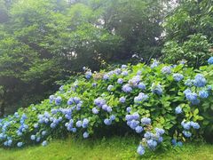 -保利石象湖景区