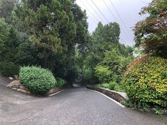 -云龙山