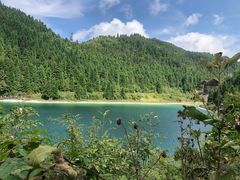 -武陵山森林公园