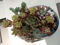 -颜蕾医美·黄金微针·水光·玻尿酸·超声炮·抗衰中心