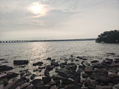 -宝安西湾红树林湿地公园