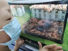 -上海昆虫博物馆