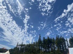 -海合安青岛极地海洋公园