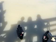 景点-溱湖国家湿地公园