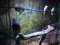 -多彩贵州城极地海洋世界