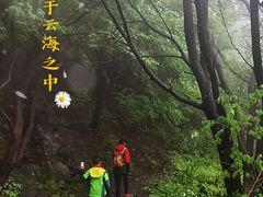 -阳台山自然风景区