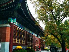 -香山公园