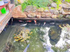 -丽泽山庄·生态怀柔菜·虹鳟鱼(红螺寺店)
