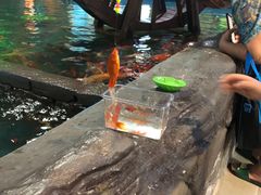 -锦艺城海洋馆