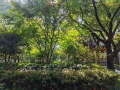 -汇龙潭