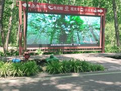 -合肥滨湖国家森林公园