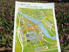 -东南花都花博园