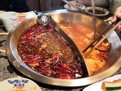 红白鸳鸯锅-小龙坎火锅(税东街店)