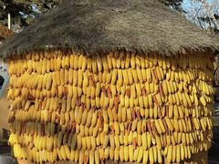 -长春市南湖公园