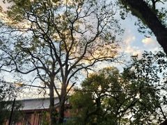 -桂林独秀峰王城景区