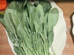 -芦月轩羊蝎子(劲松店)