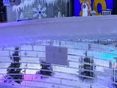 -宁波冰雪大世界(北仑区)