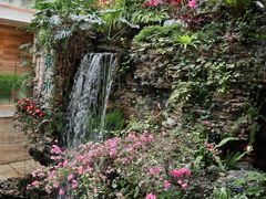 -广州白天鹅宾馆