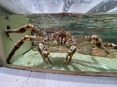 -白金汉爵大酒店·中餐厅(相城店)