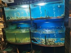 水产区-云顶旋转自助景观餐厅