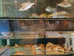 -万鱼亭 日本料理(无锡香山名园店)