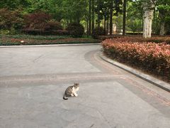 -徐家汇源景区-衡山公园