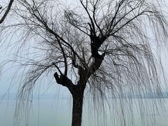 -东钱湖旅游度假区