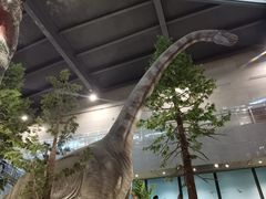 -湖南省地质博物馆