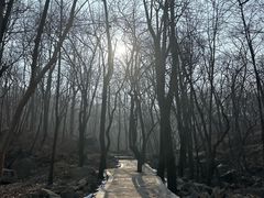 -封龙山风景区