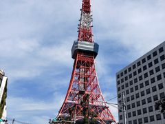 -东京塔海贼王主题公园
