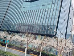 -龙美术馆西岸馆-停车场