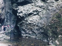 -牛背梁国家森林公园