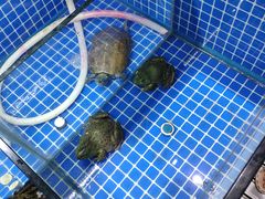 -一江春水·杭帮臻宴(三台山店)