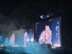 -南京奥林匹克体育中心-体育馆