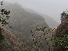 -抱龙峪
