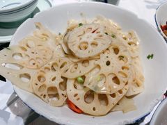 -壹盏灯(惠农店)
