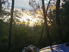 -长虫山生态公园风景林