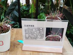-武汉荟聚