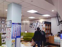 -奈斯宠物医院·核磁CT·异宠专科·内镜(中南店)