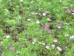 -蟠龙山长城景区