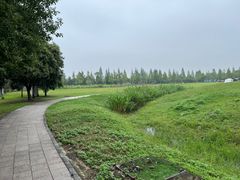 -滆湖低碳生态公园