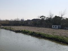 -上海鲜花港