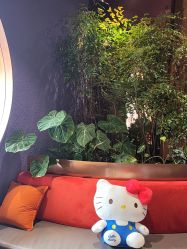 -花隐·美芙炫海菲秀皮肤管理中心