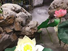 -苏浙徽·江南荟·本味融合菜(相城方圆里店)